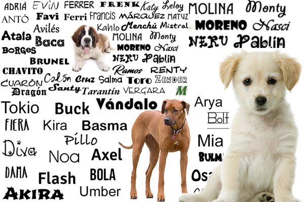 nombres para perros